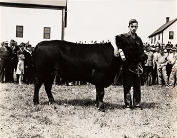 JOHN COLLIER, JR. (1913-1992) A suite of 5 photographs, including two of young men with prize cows (Presque Isle, ME), and three of fig